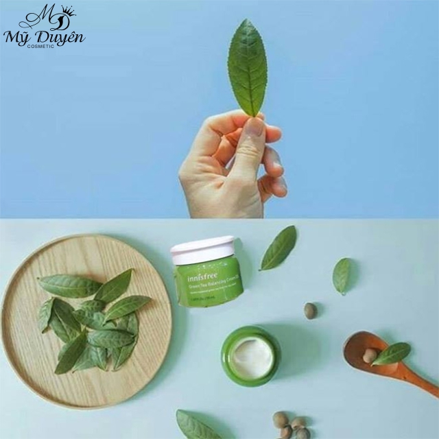 Kem Dưỡng Innisfree Green Tea Balancing Cream EX
